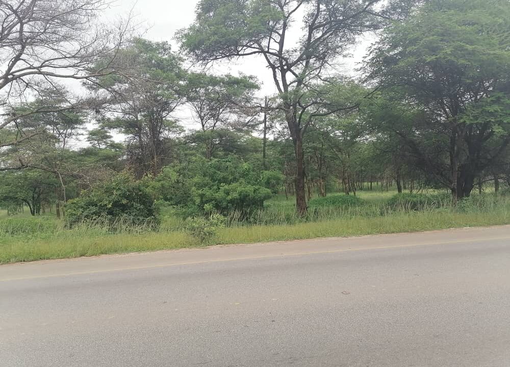 Road Frontage Land Mapepe Chilanga