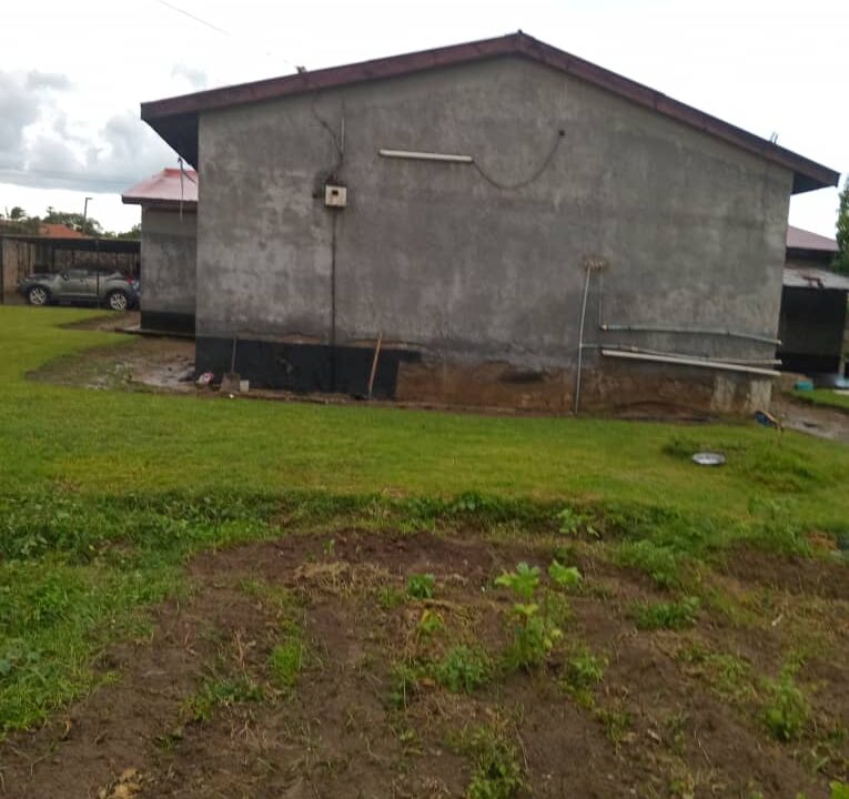 chitambo (9)