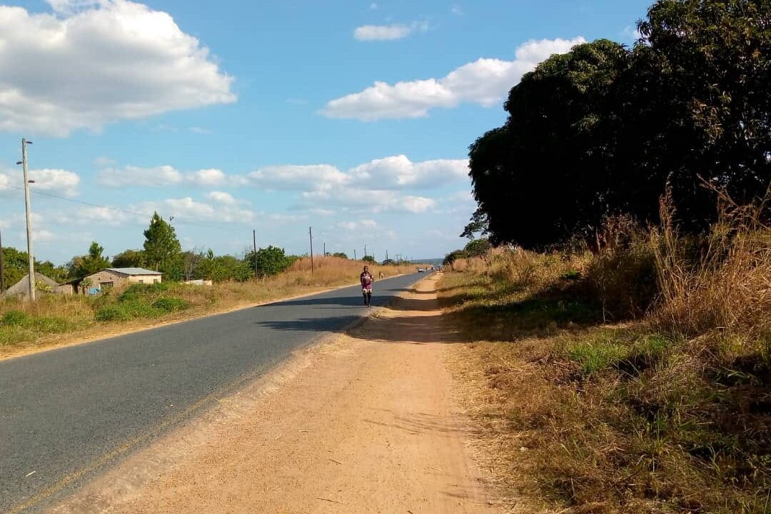 misenga (6)